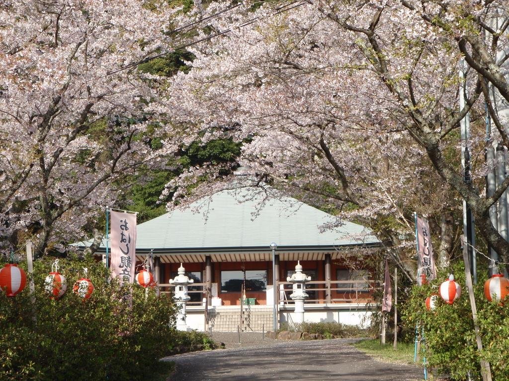 🏯 암교산 어교관음사(세쿄잔 오하시칸논지) 이미지 7
